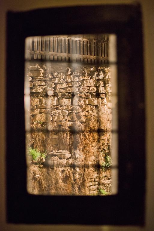 The Lion'S Residence Veliko Tarnovo Exterior photo